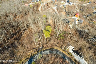 05-DJI_0006