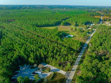 Hwy 45, Loris, SC 29569 - photo 2