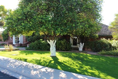 Front IMG_1259