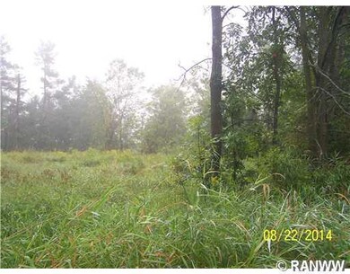 0 N 7th St, Weyerhaeuser, WI 54895 - photo 5