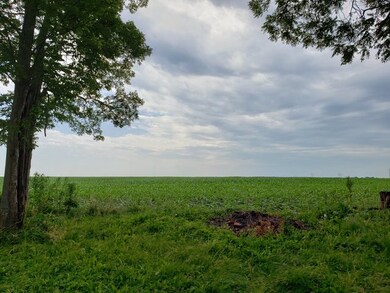 206 Lakewood Dr, Camargo, IL 61919 - photo 6