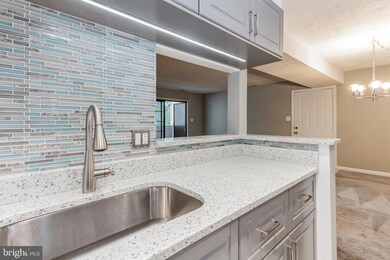 1605 Carriage House Terrace unit E, Silver Spring, MD 20904 - photo 5