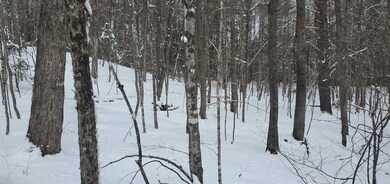 000 Bobbin Mill Rd, Lyman, NH 03585 - photo 7