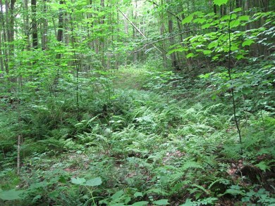 00 Crescent Beach Rd, Morgan, VT 05853 - photo 5