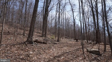 Off Cold Run Valley Rd, Berkeley Springs, WV 25411 - photo 4