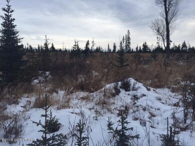 L6 Vince Rd, Anchor Point, AK 99556 - photo 2