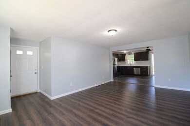 14 Lorimer St, Indian Orchard, MA 01151 - photo 5