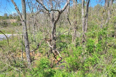 0 Mill Creek Rd, Kingsport, TN 37664 - photo 5