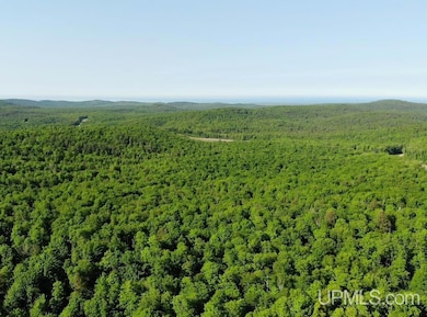 TBD359 Aaa Rd, Big Bay, MI 49808 - photo 4