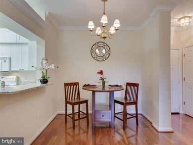 4551 Strutfield Ln unit 4217, Alexandria, VA 22311 - photo 2