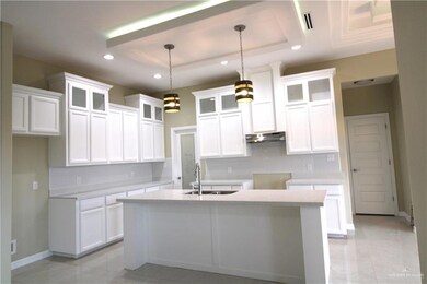 810 Whitewing St, Alamo, TX 78516 - photo 6