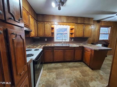 1267 Highway 143, Roan Mountain, TN 37687 - photo 7