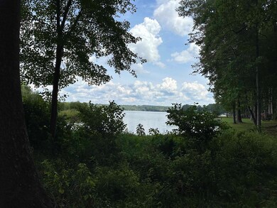 1.23 ACRES Heidi Trail, Buckhead, GA 30625 - photo 4