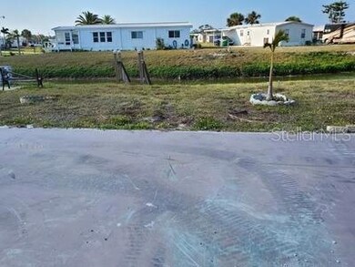 View from the backyard.