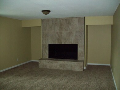 Closeup of the HUGE fireplace!