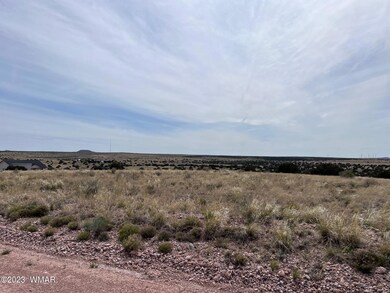 0 Poplar St, Snowflake, AZ 85937 - photo 4