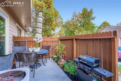 4386 Hawks Lookout Ln unit L2, Colorado Springs, CO 80916 - photo 3