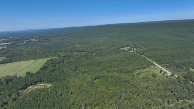 Highway 314, Plainview, AR 72857 - photo 3