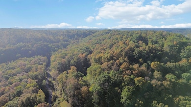 569 Stoneybrook Rd, Burnside, KY 42519 - photo 5