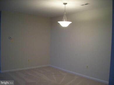 6350 Red Cedar Place unit 407, Baltimore, MD 21209 - photo 6