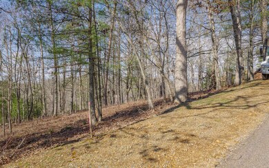 LT215 Old Toccoa Farm, Mineral Bluff, GA 30559 - photo 3