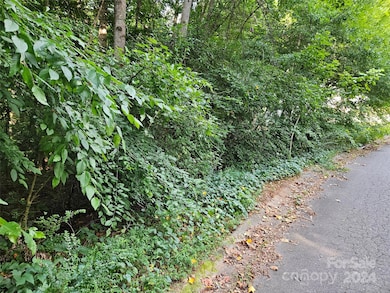 00 General Griffith Cir unit 31, Rutherfordton, NC 28139 - photo 5