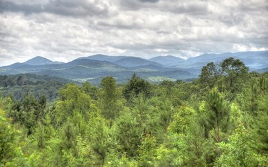 Additional View