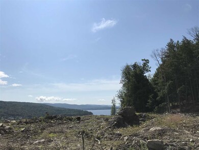 Lot 46 1-1 George Rd unit 46 1-1, Hebron, NH 03241 - photo 4