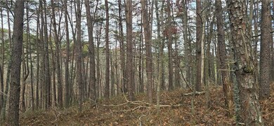 Tract 30 Deerfield Estates, Fairmount, GA 30139 - photo 7