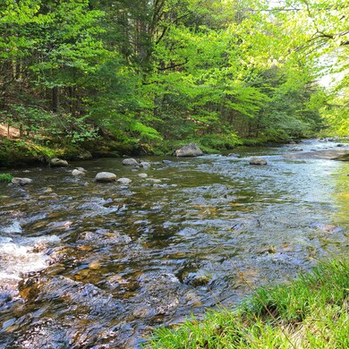 Sawyer Brook frontage