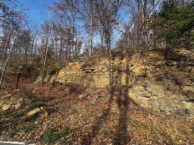 00 129-00-00-051 00 Ridgeline Rd, Raccoon, KY 41566 - photo 2