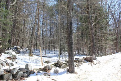 805 Northline Rd, Center Tuftonboro, NH 03816 - photo 6