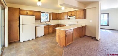 209 W 26th St, Durango, CO 81301 - photo 7