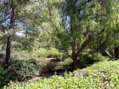 31457 Loma Linda Rd, Temecula, CA 92592 - photo 6