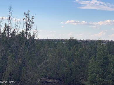 IMG-3567