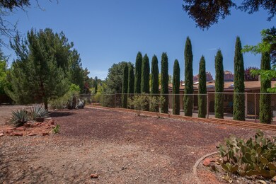 Backyard (2)
