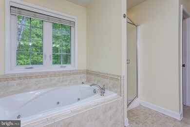 750 Dellinger Dr, Strasburg, VA 22657 - photo 7