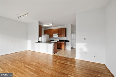 8045 Newell St unit 418, Silver Spring, MD 20910 - photo 2