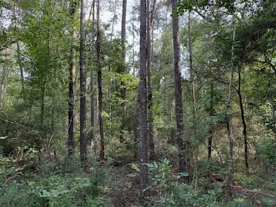 BP-7 Florida Blvd, Holden, LA 70744 - photo 5