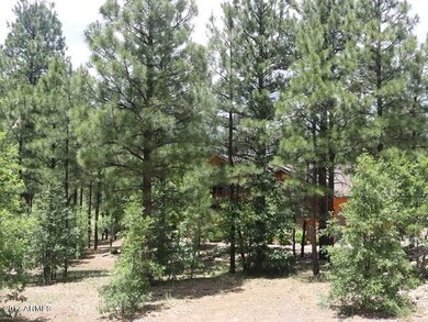 006_Home Hidden by Trees