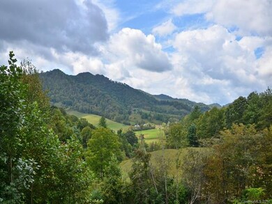 651 Possum Trot Rd, Burnsville, NC 28714 - photo 3