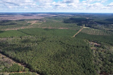 26 Acres-TBD Puncheon Creek Dr, Andrews, SC 29510 - photo 5