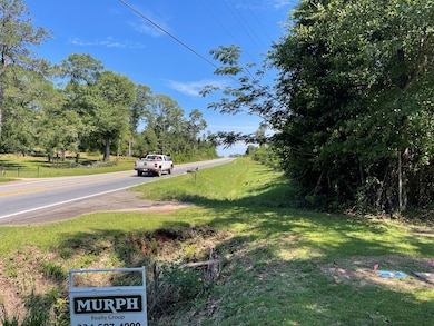 1794 Georgia 50, Georgetown, GA 39854 - photo 3