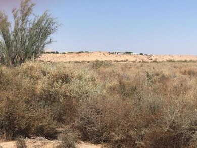 42 Acres On 6th Ave, Blythe, CA 92225 - photo 4