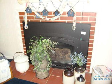 113 Charles St, Archbold, OH 43502 - photo 5