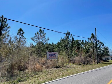 00 Pat Dixon Rd Broxton Hwy & Charles Roger Blvd, Hazlehurst, GA 31539 - photo 3