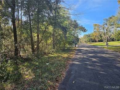 296 E Foster Ct, Lecanto, FL 34461 - photo 3