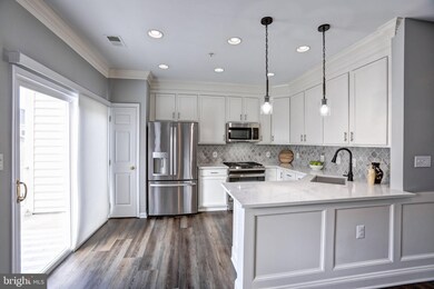 42234 Terrazzo Terrace, Stone Ridge, VA 20105 - photo 3