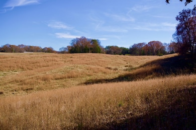 7 Barlow Rd, Rock Island, TN 38581 - photo 4