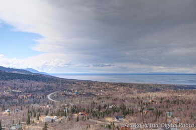 Panoramic Ocean and Mountain Views
